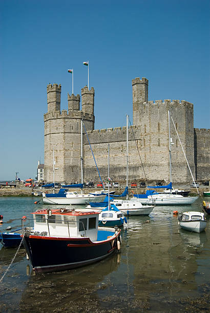 카나번 성 및 하버 웨일즈로 영국 - caenarvon castle caernarfon castle wales 뉴스 사진 이미지