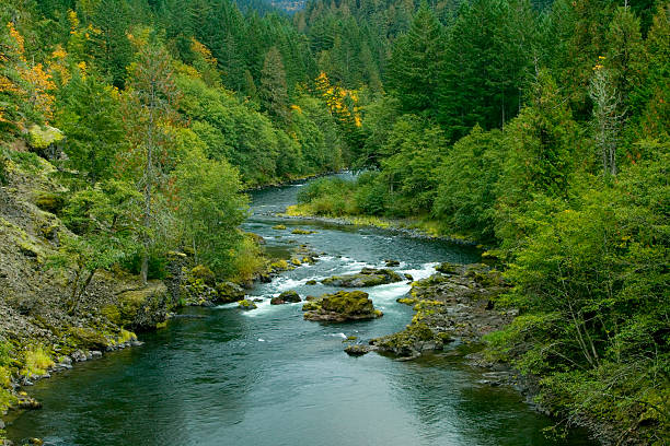 Fall colors surrounding the Clackamas River near Estacada, Oregon