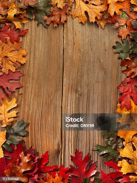 Rustikale Holz Mit Herbst Blätter Stockfoto und mehr Bilder von Herbst - Herbst, Bildhintergrund, Alt