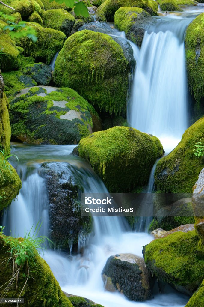 L'eau tombant en cascade - Photo de Bois libre de droits