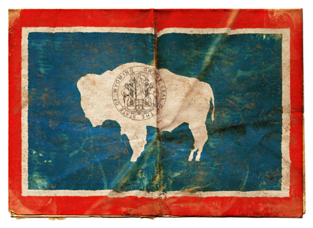 drapeau du wyoming xxl - wyoming flag american bison poster photos et images de collection