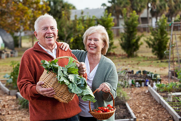 старший пара с овощей, выращенных на сад - gardening couple senior adult ethnic стоковые фото и изображения