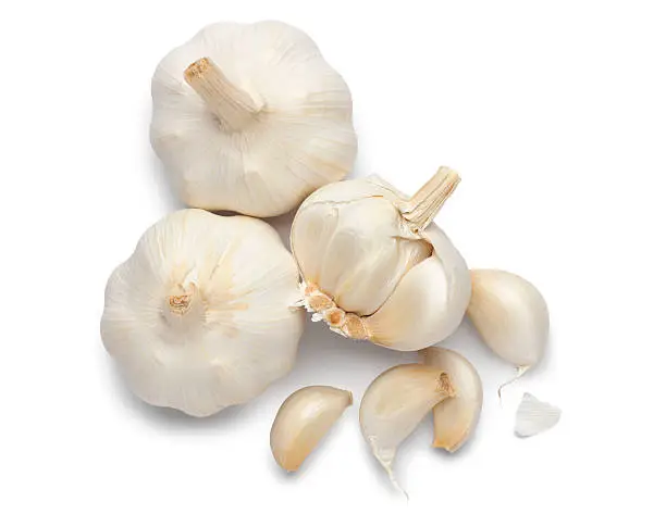 Garlic on white with soft shadow. Clipping path included.