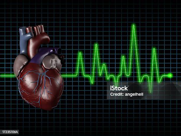 Электрокардиограмма С Сердце Человека На Экране — стоковые фотографии и другие картинки Выживание