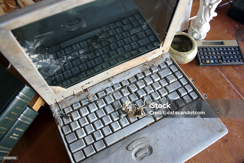 Dead mouse disteso sulla tastiera del computer portatile computer arrugginita - Foto stock royalty-free di Computer portatile