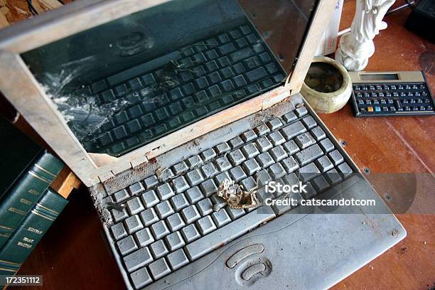 방전됨 마우스 라잉 키보드의 의 부식 노트북 컴퓨터 노트북에 대한 스톡 사진 및 기타 이미지 - 노트북, 동물의 뼈대, 쓰레기