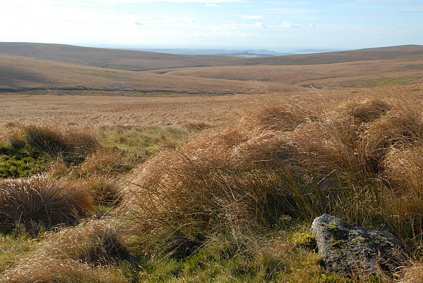istock Dartmoor towards Plymouth 172351505