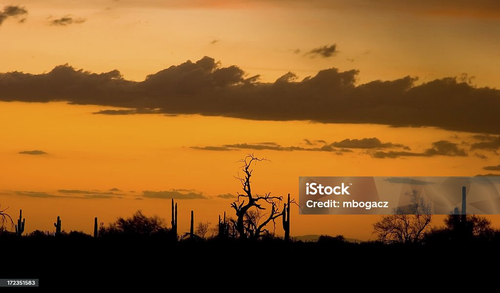 Stormy deserto tramonto - Foto stock royalty-free di Ambientazione esterna