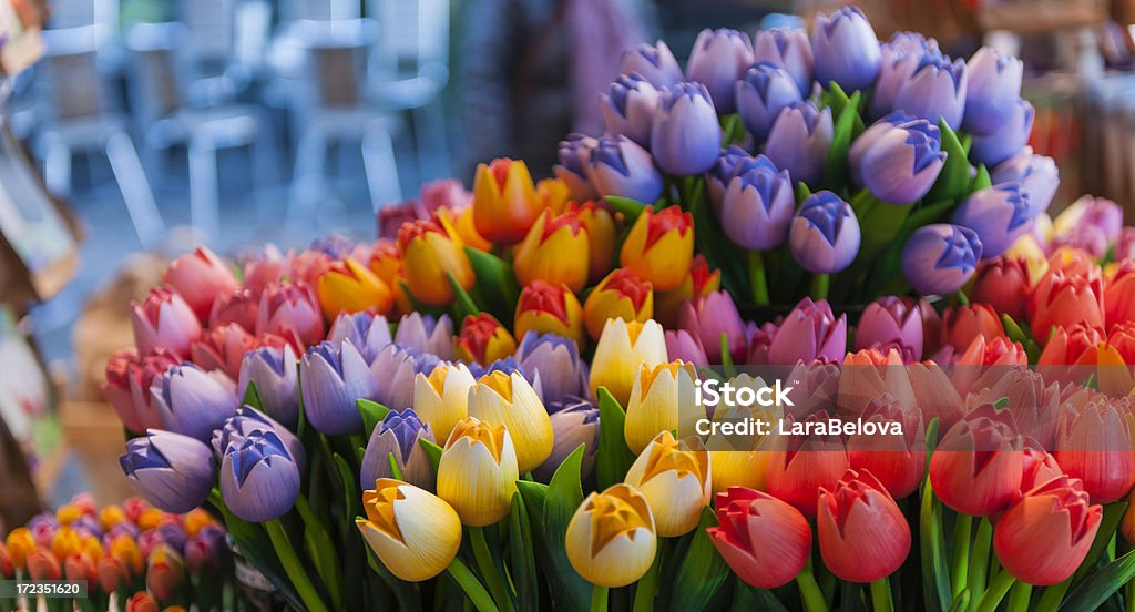 Tulipes en bois - Photo de Amsterdam libre de droits
