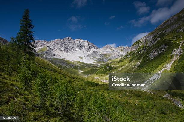 Alperschon Joch - Fotografie stock e altre immagini di Albero - Albero, Alpi, Ambientazione esterna