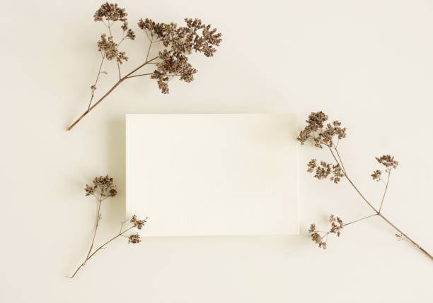 istock Card mockup and dried flowers top view on white background with copy space. flatlay. Blank, greeting card template. 1723517830