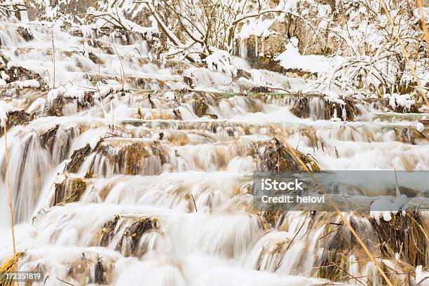 Nationalpark Plitvicer Seen Im Winter Stockfoto und mehr Bilder von Bach - Bach, Baum, Eingefroren