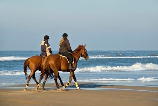 Two amazones on horseback on the beachSimilar images: