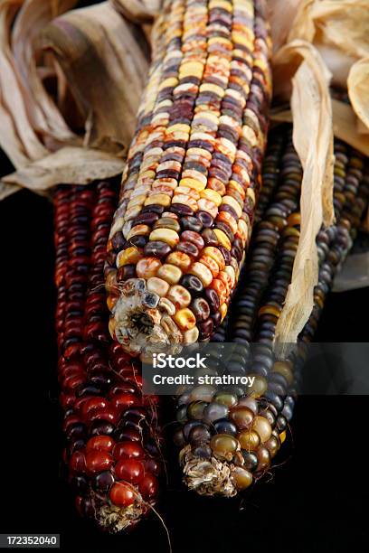 Drei Indian Corn Stockfoto und mehr Bilder von Abstrakt - Abstrakt, Bunt - Farbton, Drei Gegenstände
