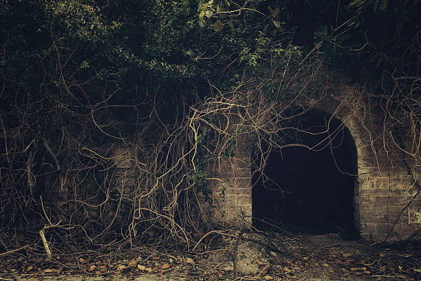 creepy entrance spooky entrance to a dark abandoned place full of dead branch, leaves and derelict crypts stock pictures, royalty-free photos & images