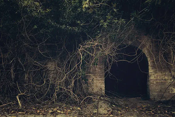 spooky entrance to a dark abandoned place full of dead branch, leaves and derelict