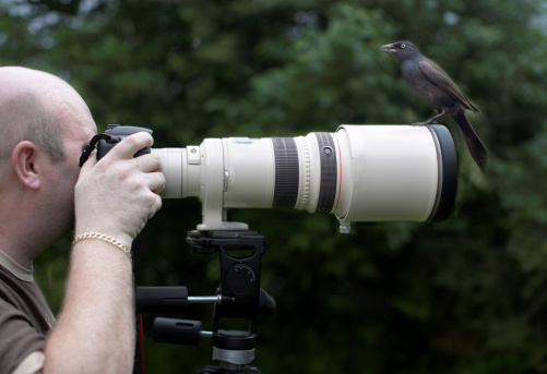 bird perched on the end of a powerful telephoto lens as a photographer is taking a photo