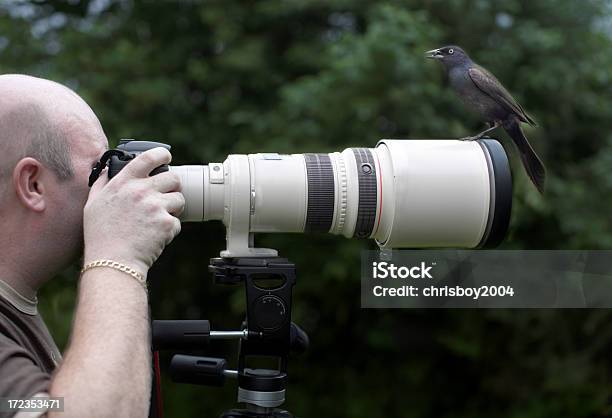 Bird On A Lens Stock Photo - Download Image Now - Bird, Photographer, Adult