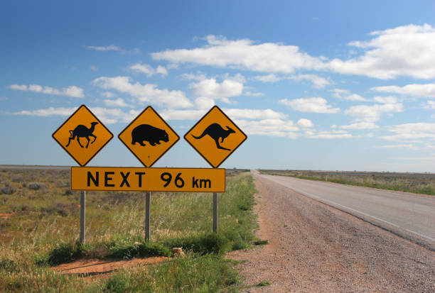 Aussie Outback stock photo