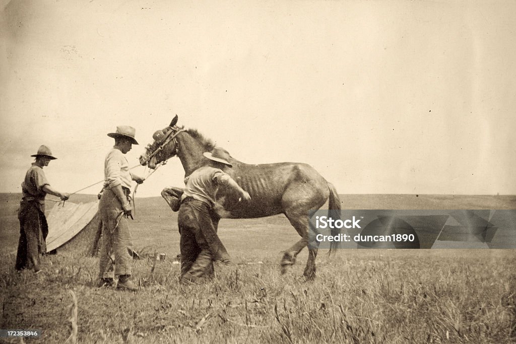 Cowboys - Foto de stock de Anticuado libre de derechos