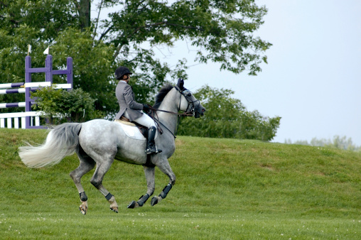 Horse show jumping competition - jockey riding a white horse