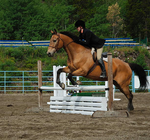 istock Young Woman in Horse Jumping Competition 172354193