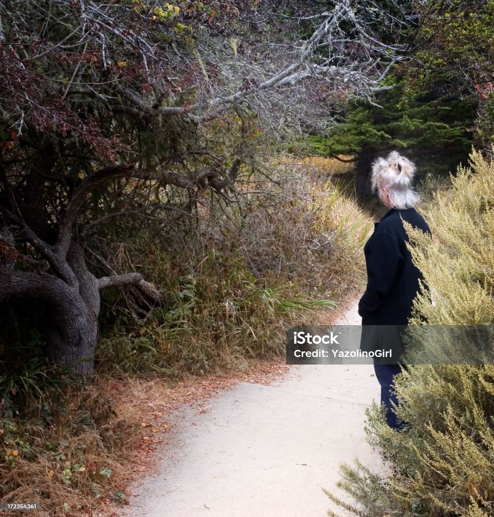 Memories "Senior woman on path. (series)Point Lobos, Carmel, Californiano sharpening applied" 50-54 Years Stock Photo