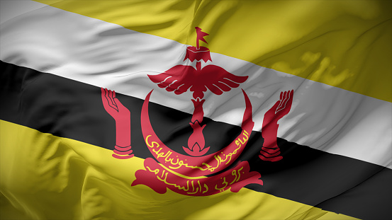 3d illustration flag of Brunei. Close up waving flag of Brunei.