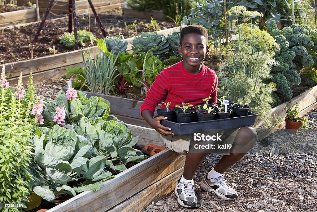 Boy in garden con seedlings - Foto de stock de Niño libre de derechos