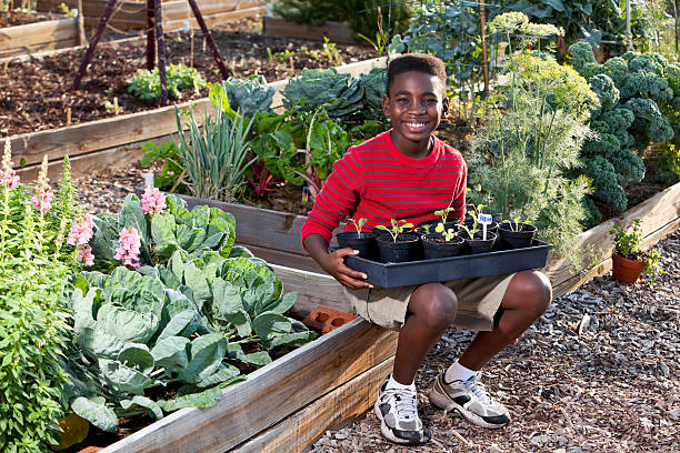 istock Boy in garden with seedlings 172354884