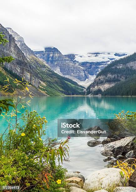 Photo libre de droit de Vue Panoramique Sur Le Lac Louise banque d'images et plus d'images libres de droit de Canada - Canada, Ciel couvert, Colombie-Britannique