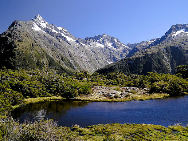 Trilho de Routeburn - fotografia de stock