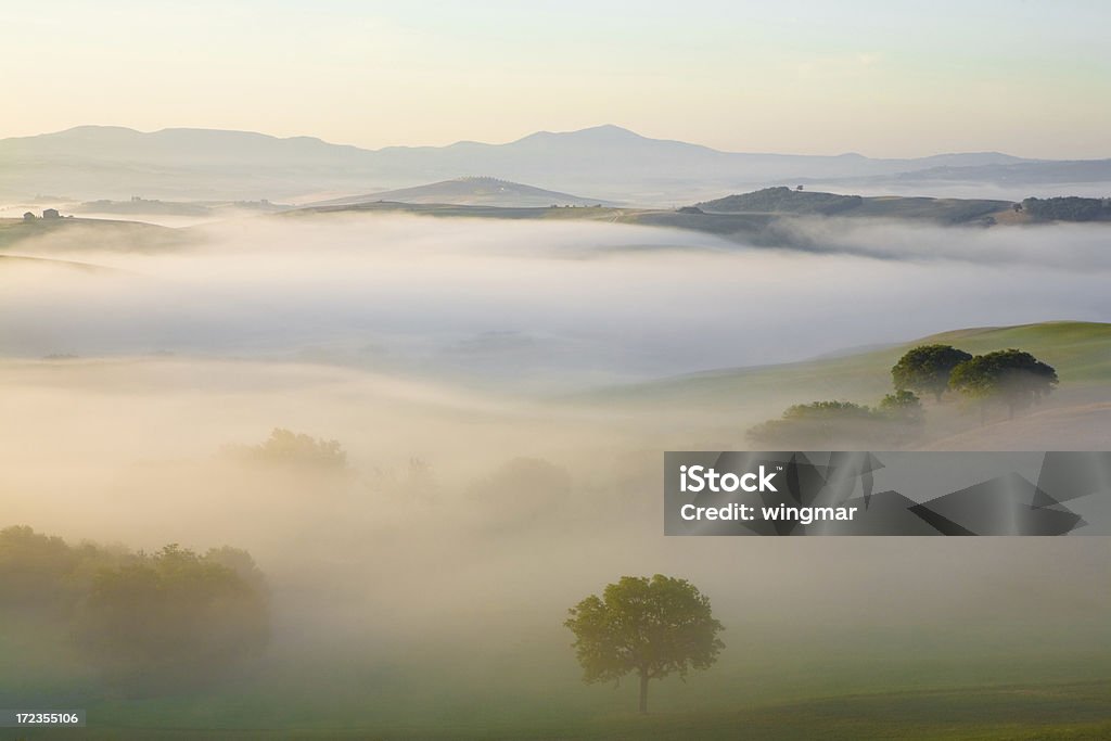 tuscany sunrise Agricultural Field Stock Photo