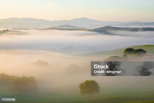 Tuscany Sunrise Stock Photo - Download Image Now - Agricultural Field, Agriculture, Back Lit