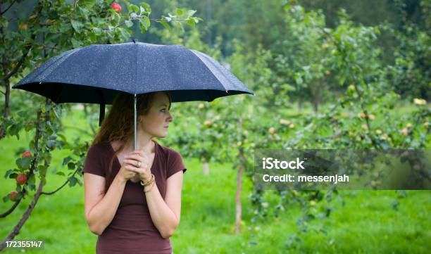 W Moją Parasol - zdjęcia stockowe i więcej obrazów Parasol - Parasol, Poniżej, Chronić