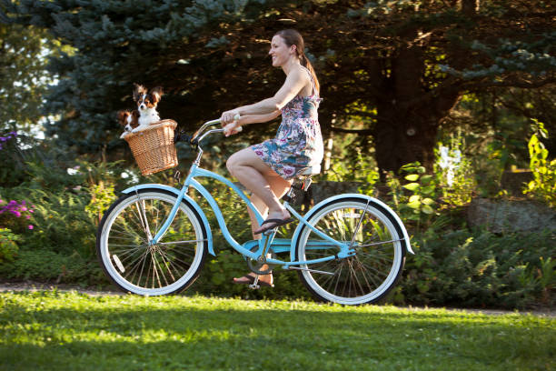 istock Dogs in Bicycle Basket 172355634