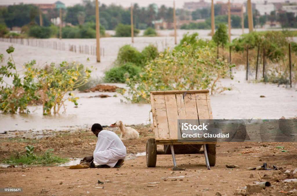 Refugees in Sudan "Refugee in Sudan collecting garbage, see more pics of africa:" Sudan Stock Photo