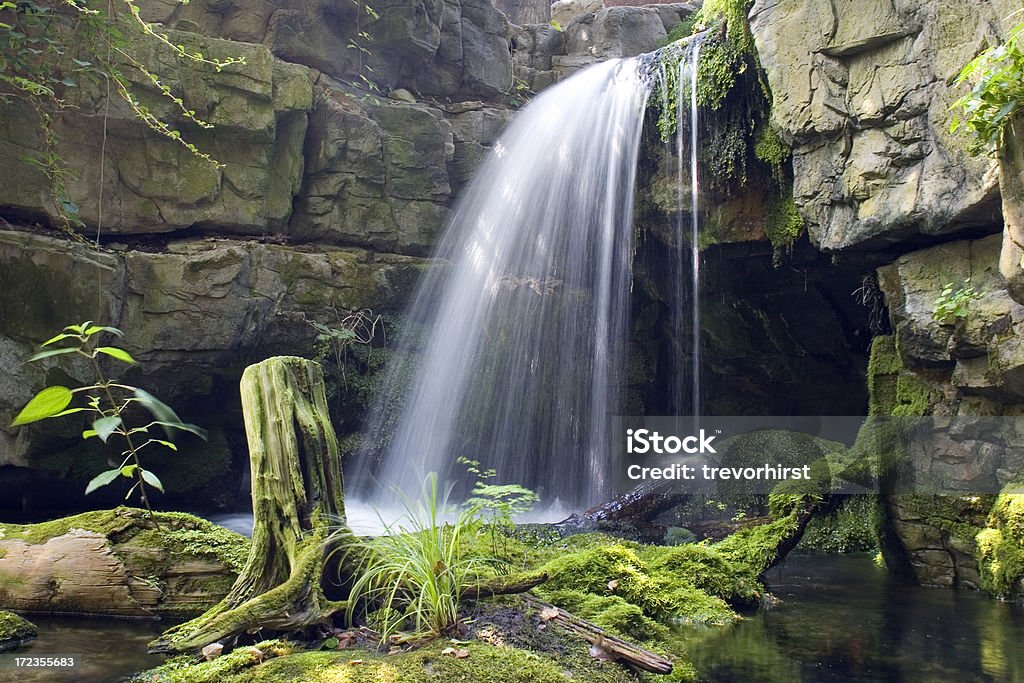 En cascada - Foto de stock de Boscaje libre de derechos