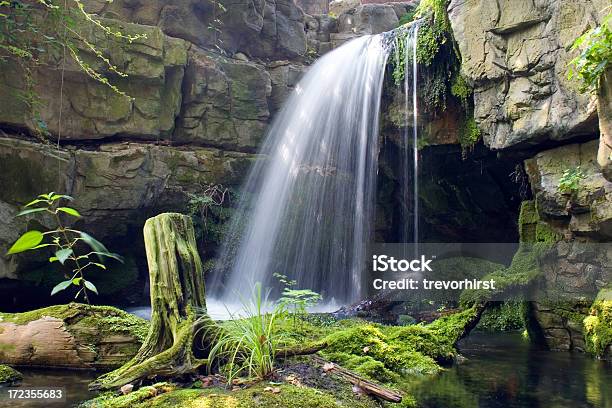 En Cascada Foto de stock y más banco de imágenes de Boscaje - Boscaje, Bosque, Catarata