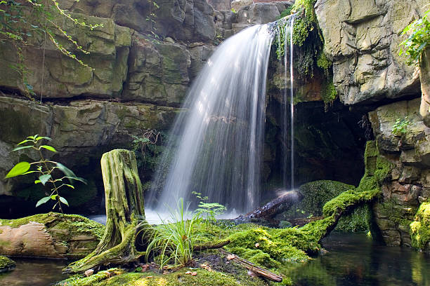 Cascata - fotografia de stock