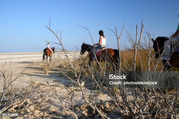 Plaża Jazda Konna - zdjęcia stockowe i więcej obrazów Brązowy - Brązowy, Fotografika, Horyzontalny