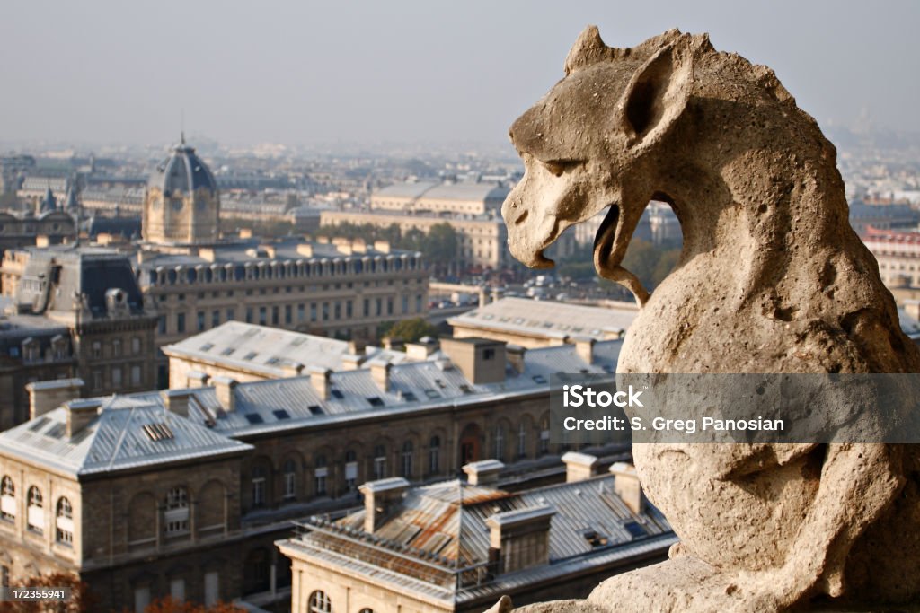 Our Lady Gargoyle "Notre Dame gargoyle overlooking the city (Paris, France)." Aerial View Stock Photo