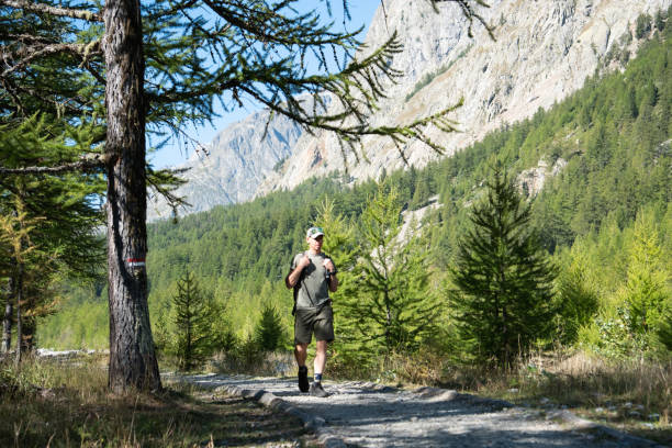 istock Mid adult male with a backpack hiking along a path 1723560050