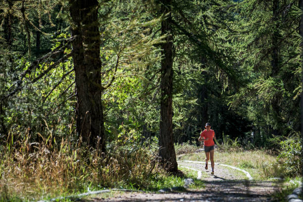 istock Fit woman running through a lush pine forest 1723560072