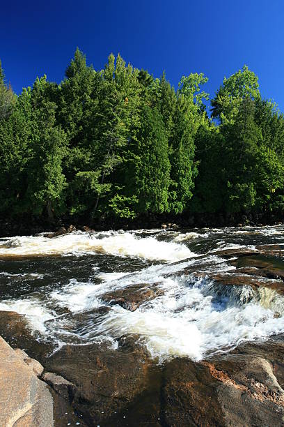 istock Flowing River in Summer, Quebec, Canada 172356130