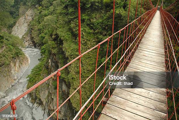 Photo libre de droit de Pont Suspendu De Rouge Et La Rivière banque d'images et plus d'images libres de droit de Forêt - Forêt, Pont en corde, Rouge