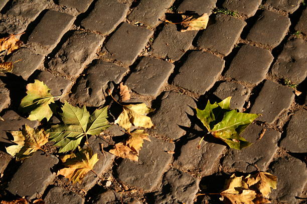 istock Autumn Street 172356648