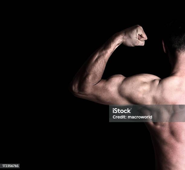 Muscle Stock Photo - Download Image Now - Growth, Mass - Unit of Measurement, Muscular Build