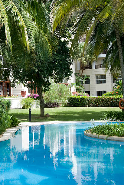 hotel a cinque stelle con piscina - luxury hotel palm tree lush foliage asia foto e immagini stock