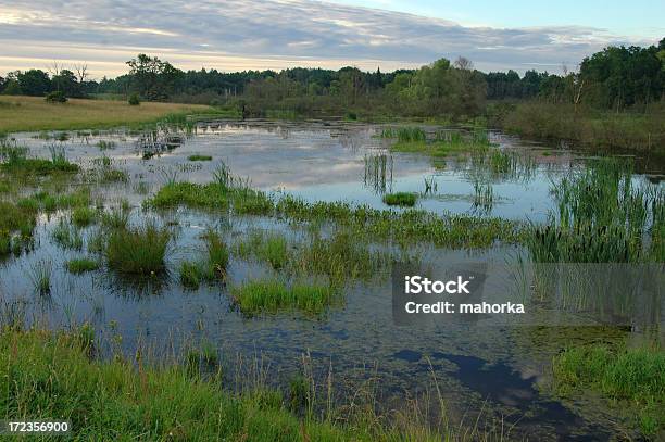 Fiume - Fotografie stock e altre immagini di Acqua - Acqua, Albero, Ambientazione esterna